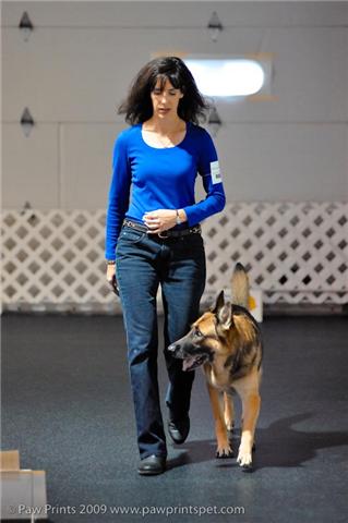 GSD heeling